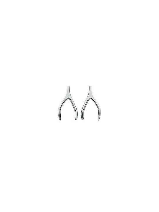 Boucles d'Oreilles en Argent Sterling 925 avec Symboles Porte-Bonheur - Charme et Chance avec Fermoir Poussette