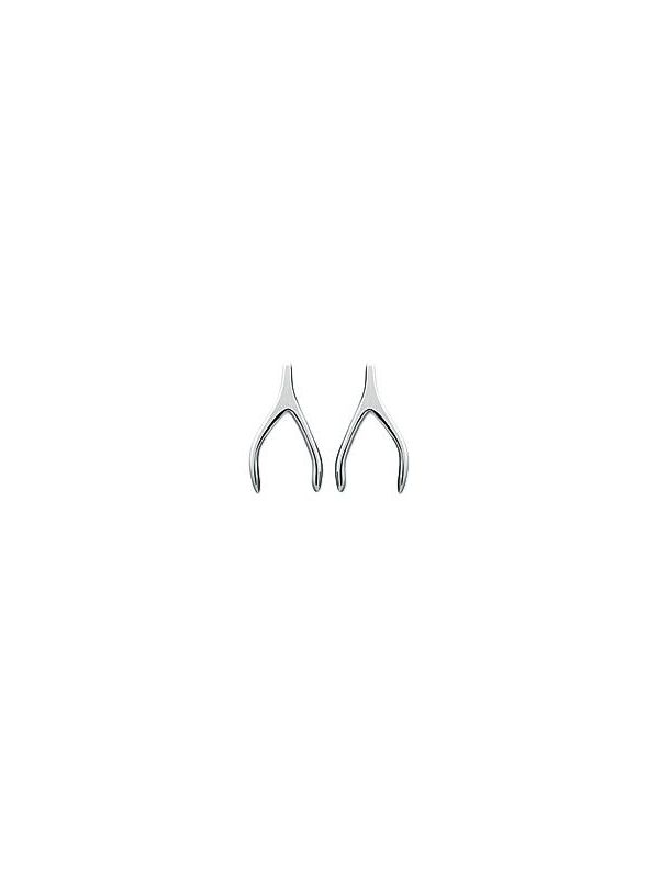 Boucles d'Oreilles en Argent Sterling 925 avec Symboles Porte-Bonheur - Charme et Chance avec Fermoir Poussette